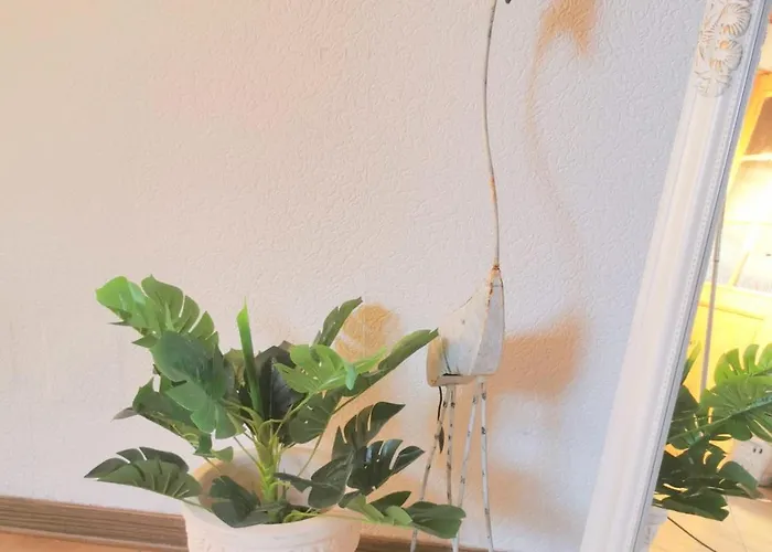 Bei Idar-oberstein In 55758 Di Ckesbach Dickesbach